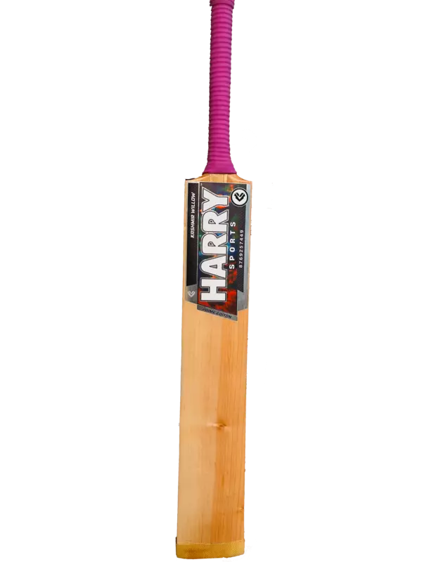 The Game Changer Bat For Hard Tennis @ HARRY-SPORTS
